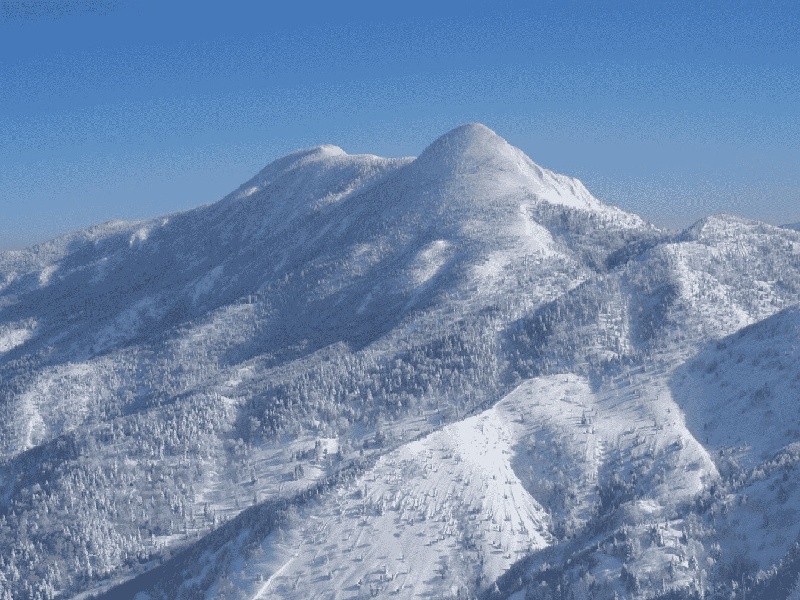 贵阳哪可以代怀,贵阳试管移植打麻醉（试管体检要去几次）